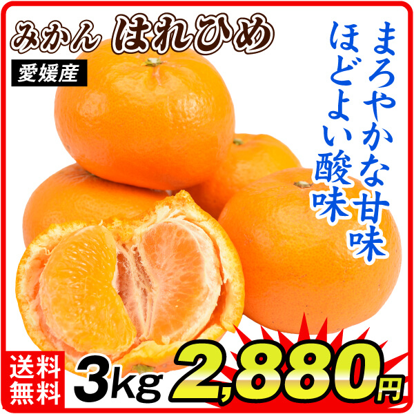 みかん 3kg ご家庭用 はれひめ 愛媛産 送料無料 食品