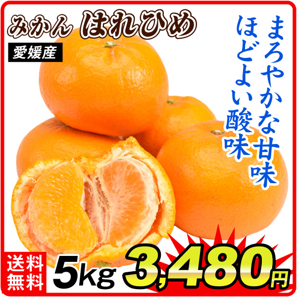 みかん 5kg ご家庭用 はれひめ 愛媛産 送料無料 食品