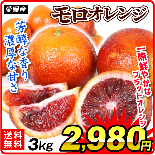 みかん 3kg モロオレンジ 愛媛産 送料無料 食品