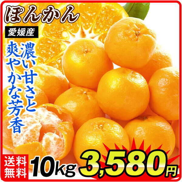 みかん 10kg 大特価 ぽんかん 愛媛産 送料無料 食品