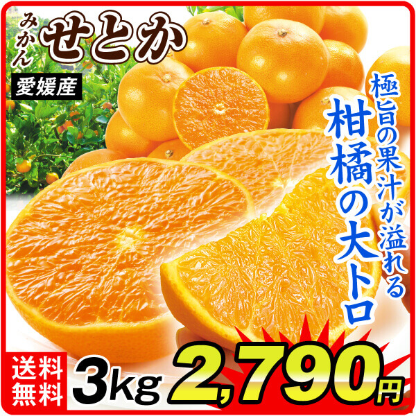 みかん 3kg 大特価 せとか 愛媛産 送料無料 食品