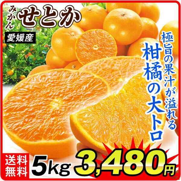 みかん 5kg 大特価 せとか 愛媛産 送料無料 食品