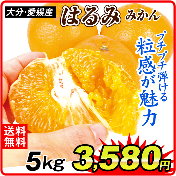 みかん 5kg ご家庭用 はるみ 大分・愛媛産 送料無料 食品