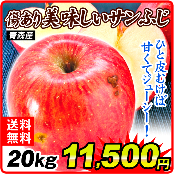 りんご 約20kg 傷あり美味しいサンふじ 青森産 送料無料 食品
