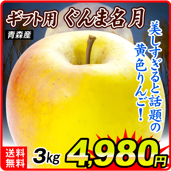 りんご 3kg ギフト用 ぐんま名月 青森産 送料無料 食品