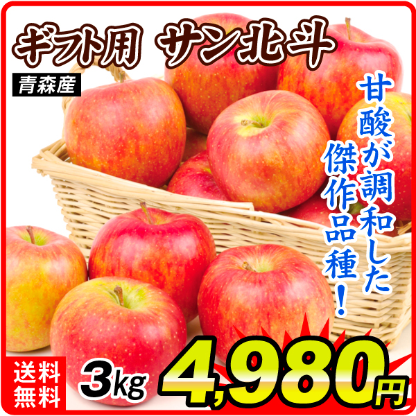 りんご 3kg ギフト用 サン北斗 青森産 送料無料 食品
