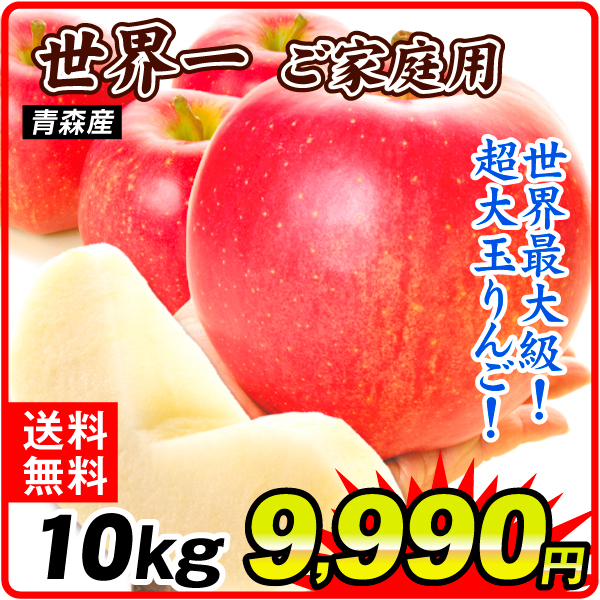 りんご 10kg ご家庭用  世界一 青森産 送料無料 食品