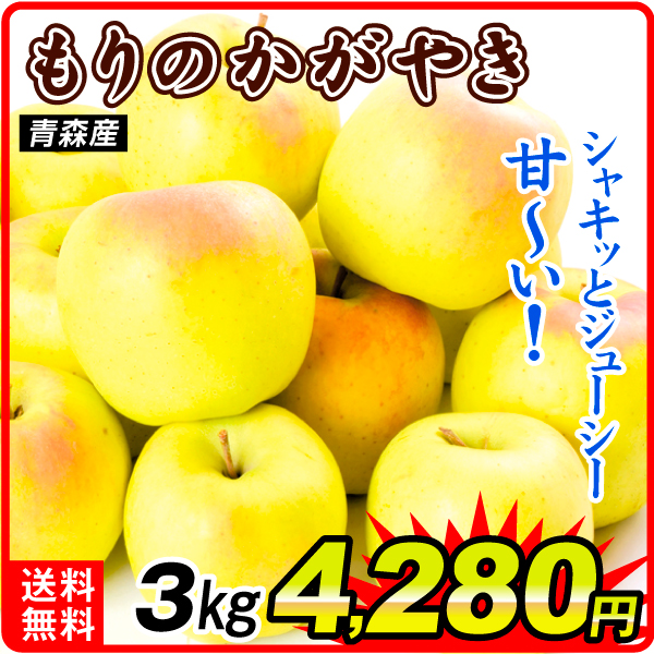 りんご 3kg もりのかがやき 青森産 送料無料 食品