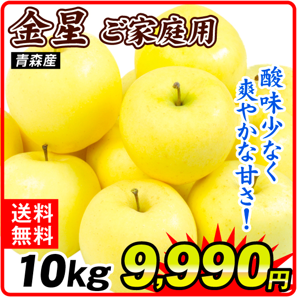 りんご 10kg 金星 青森産 送料無料 食品
