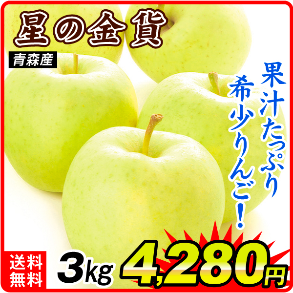 りんご 3kg 星の金貨 青森産 送料無料 食品