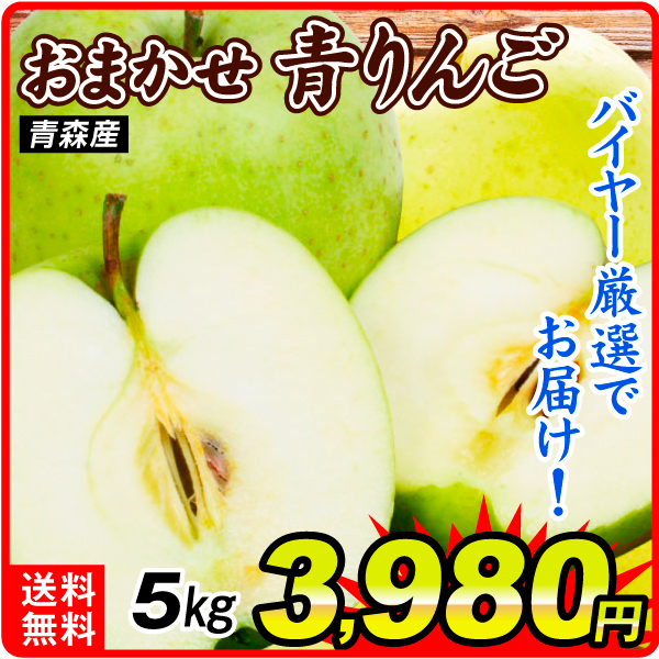 りんご 5kg お買得 おまかせ青りんご 青森産 送料無料 食品【出荷中】
