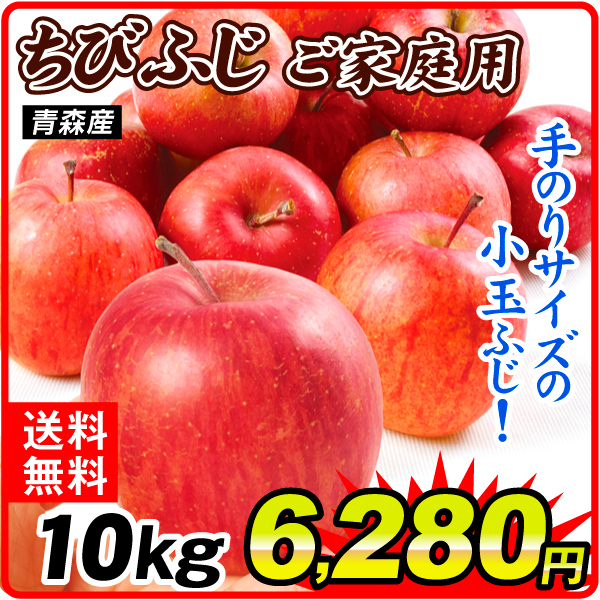 りんご 10kg ちびふじ 青森産 送料無料 食品