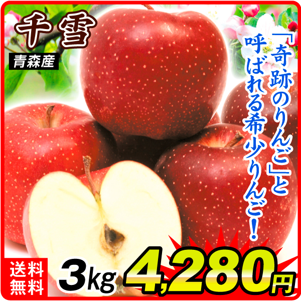 りんご 3kg 千雪 青森産 送料無料 食品