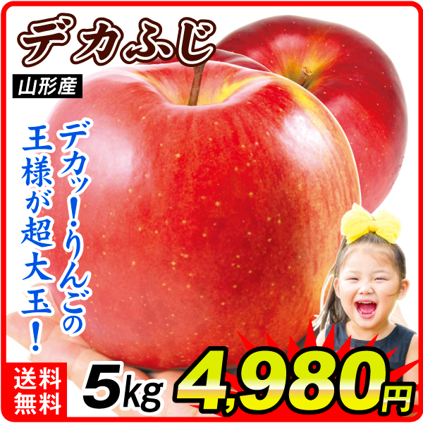 りんご 5kg デカふじ（大玉ふじ） 山形産 送料無料 食品