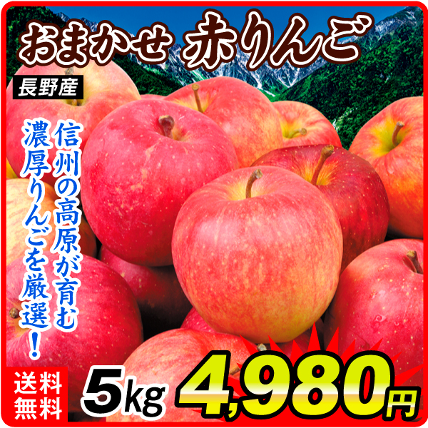 りんご 5kg おまかせ赤りんご 長野産 送料無料 食品