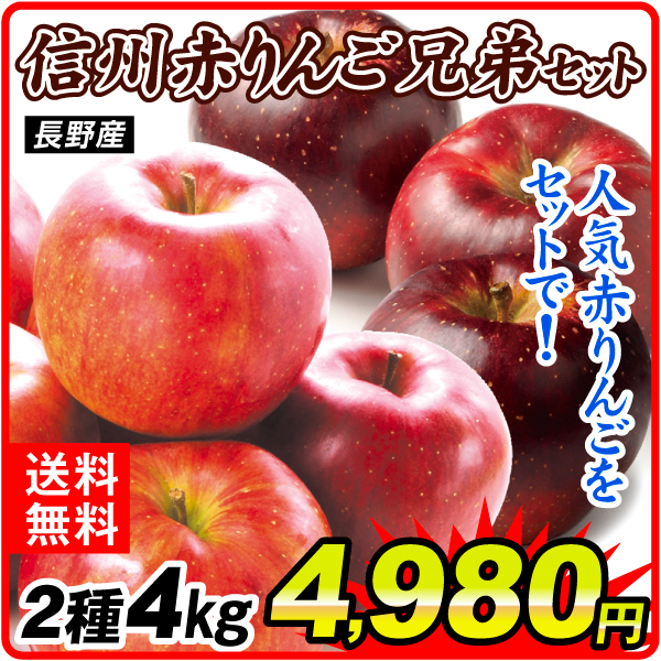 りんご 4kg 信州赤りんご兄弟セット 長野産 送料無料 食品