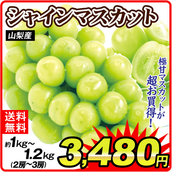 ぶどう 約1～1.2kg シャインマスカット 2～3房 山梨産 送料無料 食品