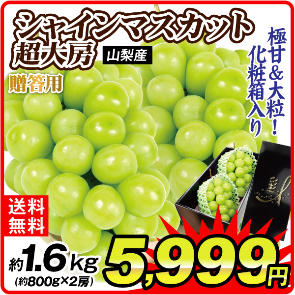 ぶどう 約1.6kg 超大房 シャインマスカット 山梨産 送料無料 食品