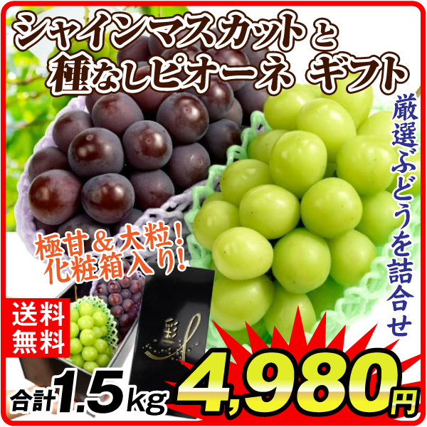 ぶどう 約1.5kg 特大 シャインマスカット＆種なしピオーネセット 山梨・岡山産 送料無料 食品
