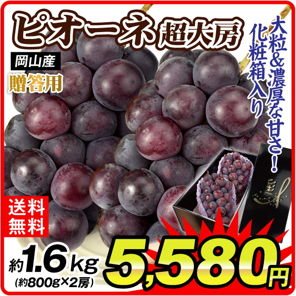 ぶどう 約1.6kg 超大房 ピオーネ 岡山産 送料無料 食品