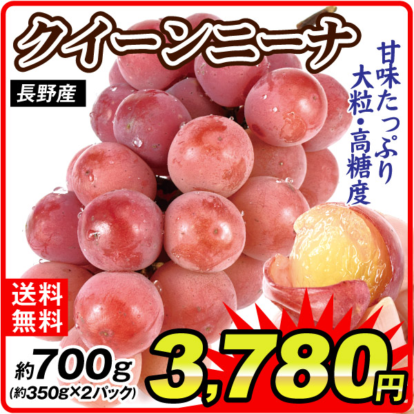 ぶどう 約700g クイーンニーナ 約350g ×2パック 長野産 送料無料 食品