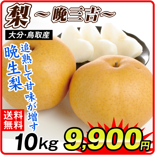 梨 10kg 晩三吉梨 大分・鳥取産 送料無料 食品
