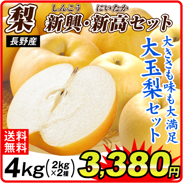 梨 4kg 大玉梨セット 長野産 送料無料 食品
