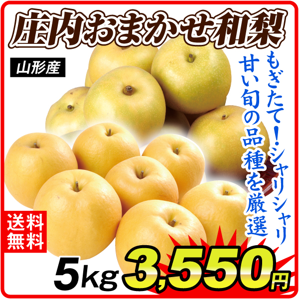 梨 約5kg 庄内おまかせ和梨 山形産 おすすめ和梨 送料無料 食品