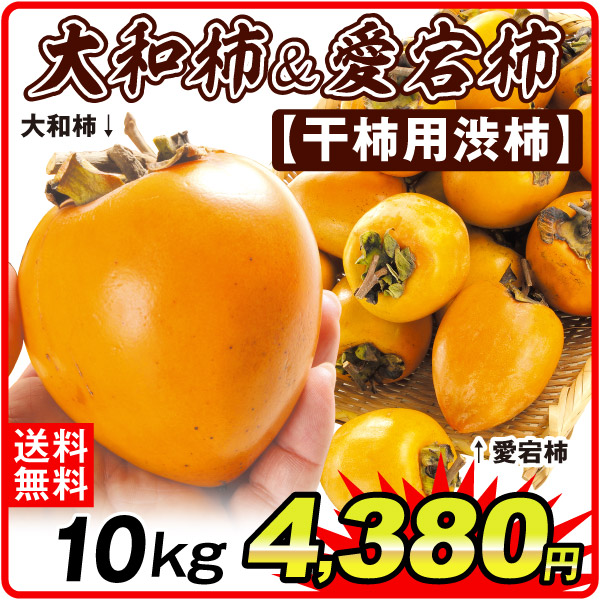 柿 10kg 大人気ご家庭用 渋柿2種(大和柿・愛宕柿)セット【干柿用渋柿】 送料無料 食品