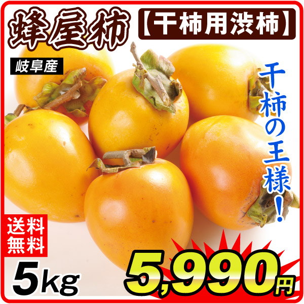柿 5kg 蜂屋柿 【干柿用渋柿】 岐阜産 送料無料 食品