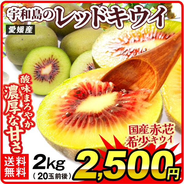 キウイ 2kg 宇和島のレッドキウイ 愛媛産  赤芯 極甘キウイ 希少品種 送料無料 食品