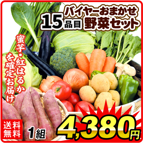 野菜セット バイヤーおまかせ15品目の野菜セット 1箱 紅はるかが必ず入る  送料無料 食品