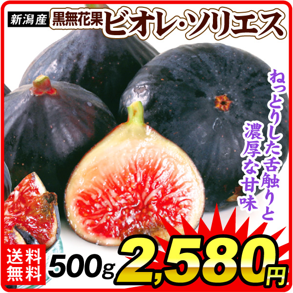 イチジク 500g ビオレ・ソリエス 新潟産 (約250g ×2パック) 黒いちじく 希少品種 ベリーを感じる濃厚な甘さ 冷蔵便 送料無料 食品