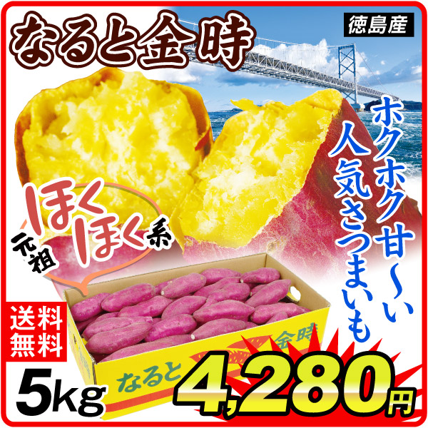 さつまいも 5kg なると金時 徳島産 送料無料 食品