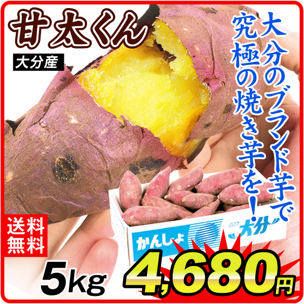 さつまいも 5kg 甘太くん 大分産 送料無料 食品