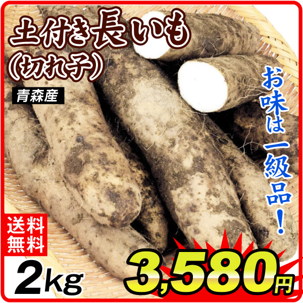 長いも 約2kg 土付きながいも・切れ子500g ×4袋 青森産 送料無料 食品