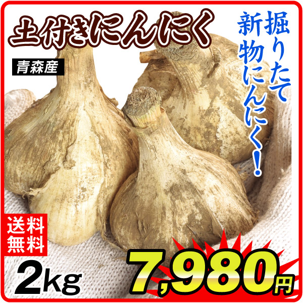 にんにく 2kg 土付きにんにく 青森産 送料無料 食品