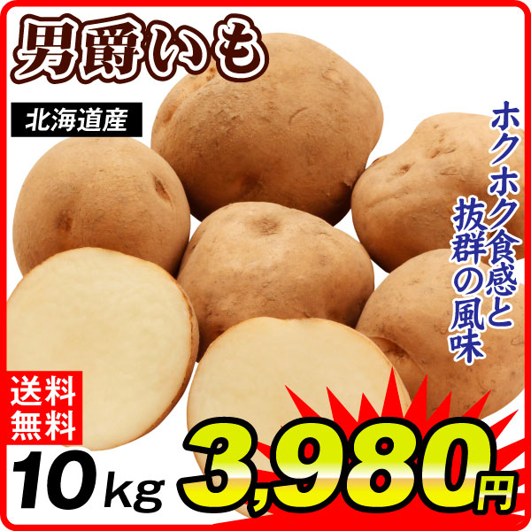 じゃがいも 10kg 男爵いも 北海道産 送料無料 食品