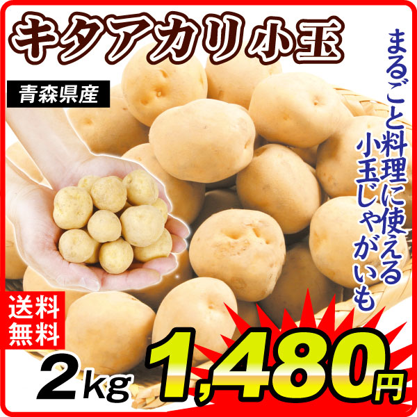 じゃがいも 2kg 小玉きたあかり 青森産 送料無料 食品