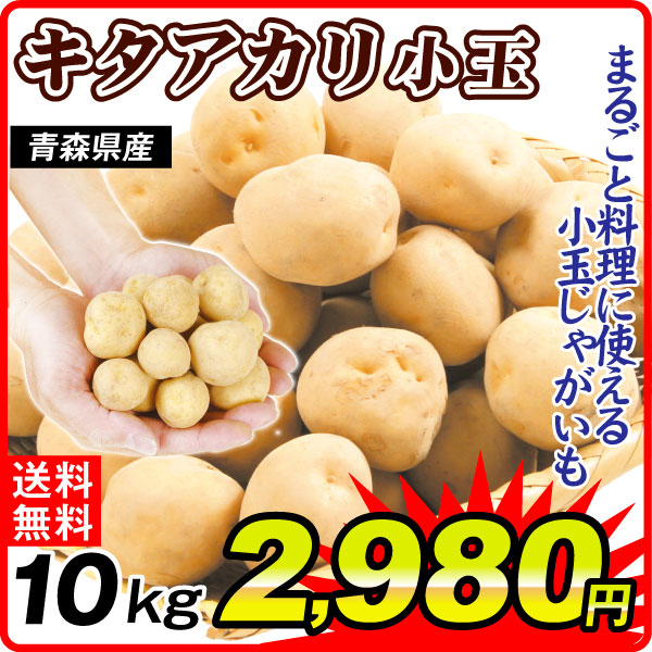 じゃがいも 10kg 小玉きたあかり 青森産 送料無料 食品