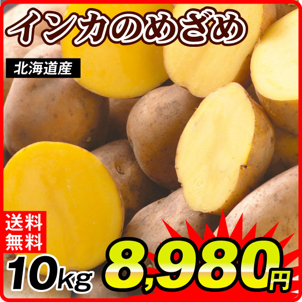 じゃがいも 10kg インカのめざめ 北海道産 送料無料 食品