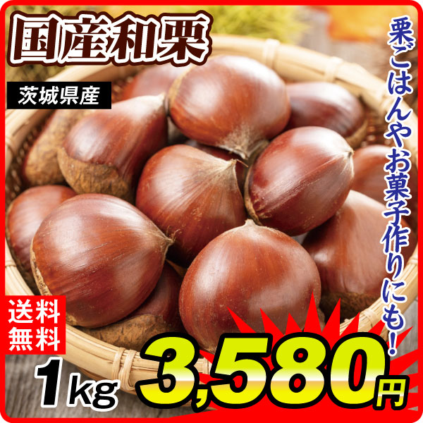 クリ 1kg 国産和栗 L～2L 茨城産 送料無料 食品