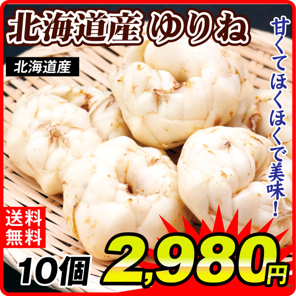 ゆり根 10個 百合根・ゆりね 北海道産 送料無料 食品