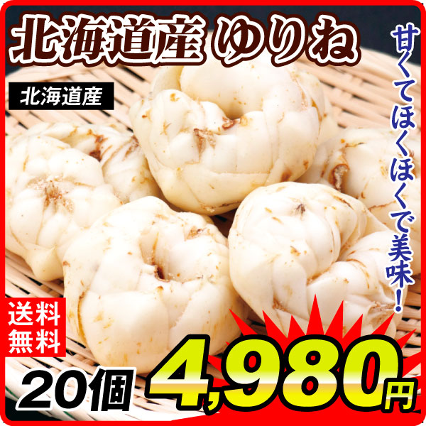 ゆり根  20個 百合根・ゆりね 北海道産 送料無料 食品