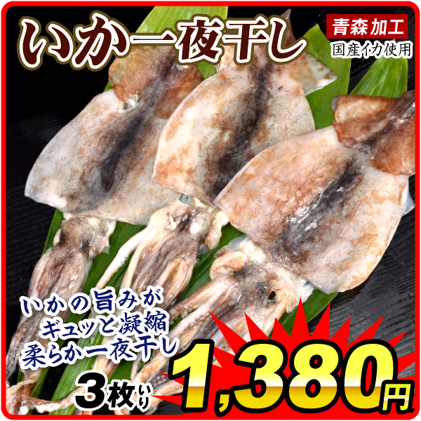 いか 一夜干し 3枚入り 国産 無加塩 食品 冷凍便