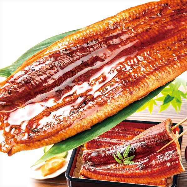 鰻 特大 うなぎ蒲焼き一本物 1尾 無頭 220g前後 ニホンウナギ種 中国産  食品 冷凍便