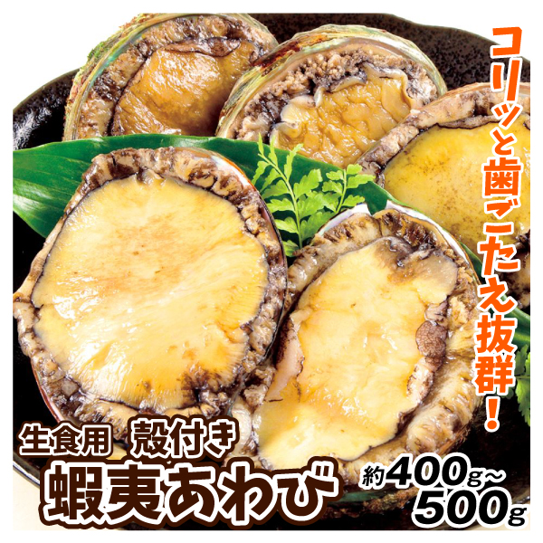 刺身用 殻付き 蝦夷あわび 6粒 生食用 鮑 冷凍便 食品