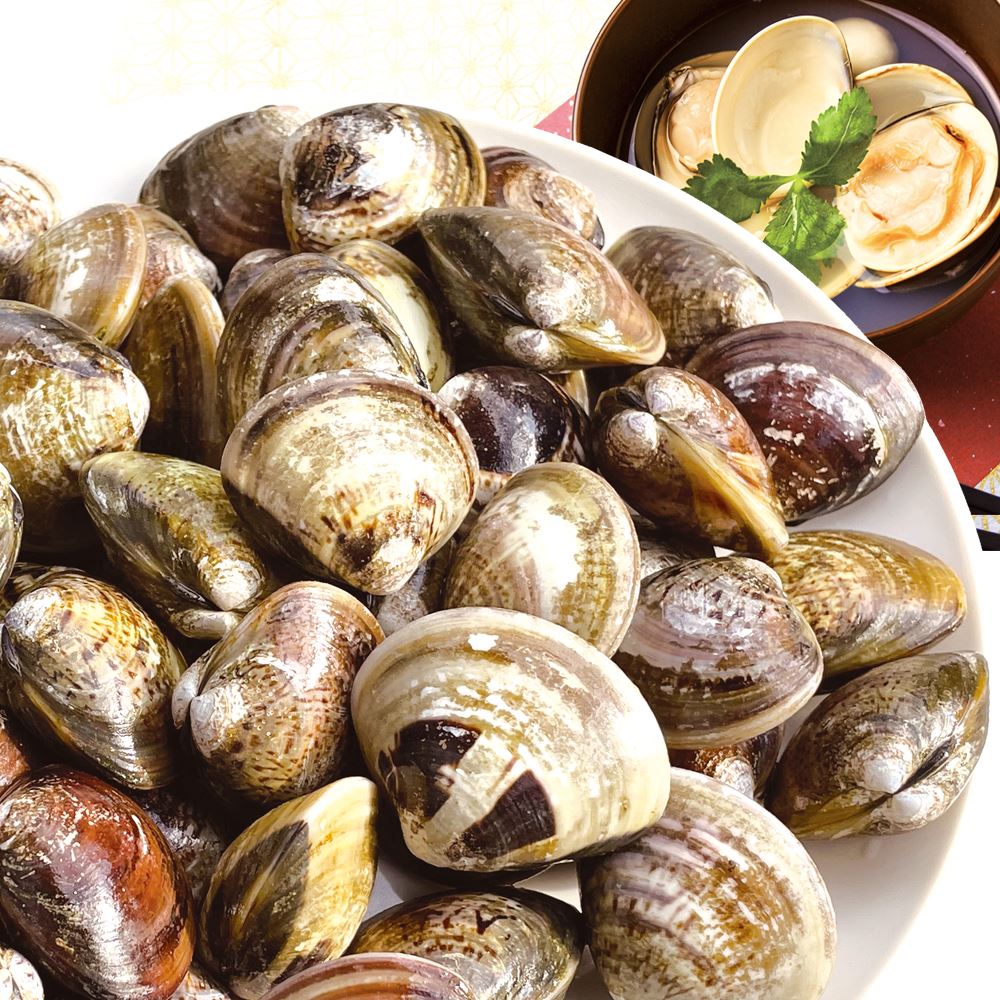 貝 国産 生冷 はまぐり 500g 千葉産 殻付き 注水パック冷凍 酒蒸し 冷凍便 食品