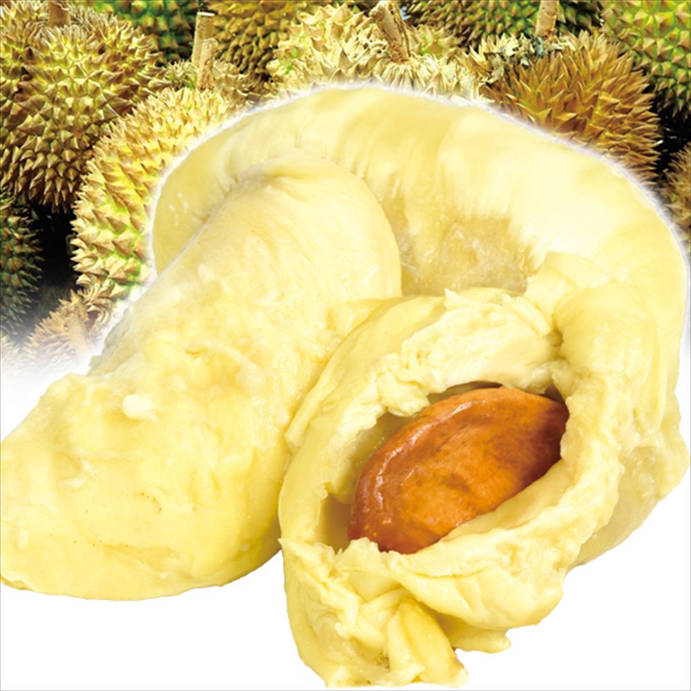 ベトナム産 冷凍ドリアン 500g 食品
