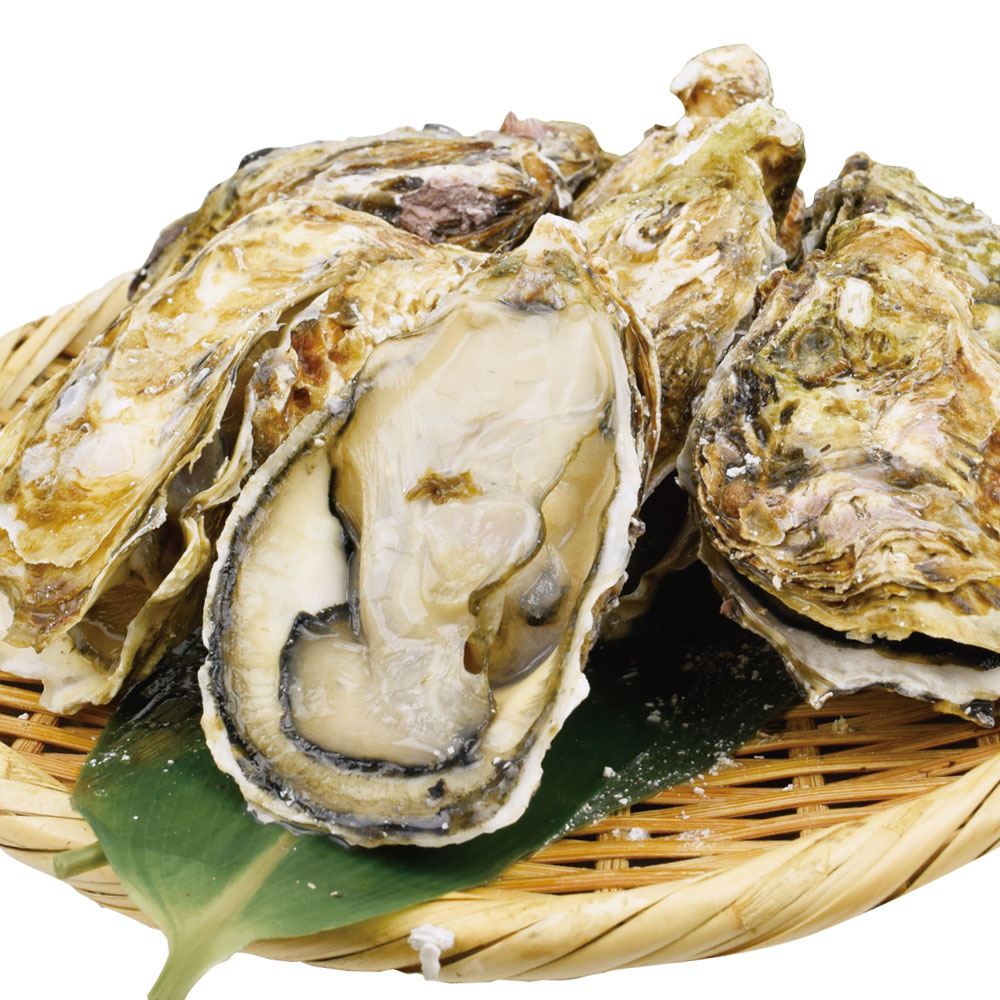 殻付かき 500g 宮城産 冷凍 食品